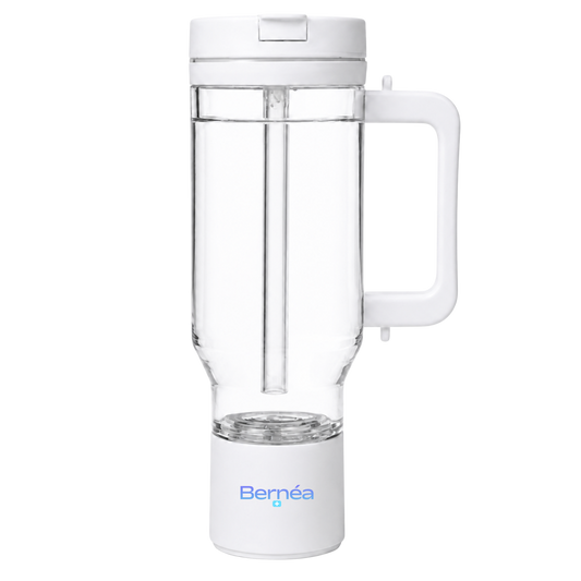 Bernéa H2 Max