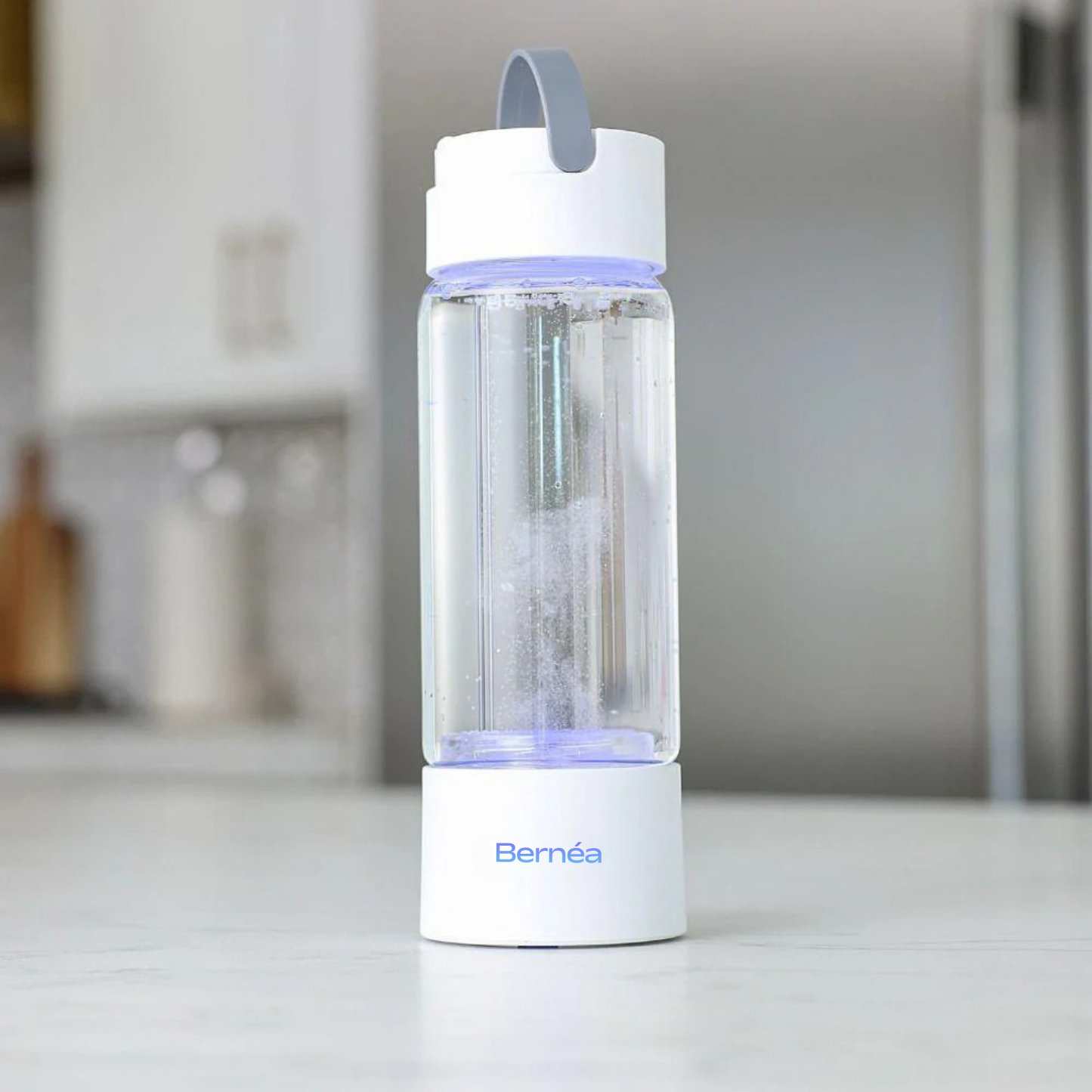 Bernéa H2 Pro